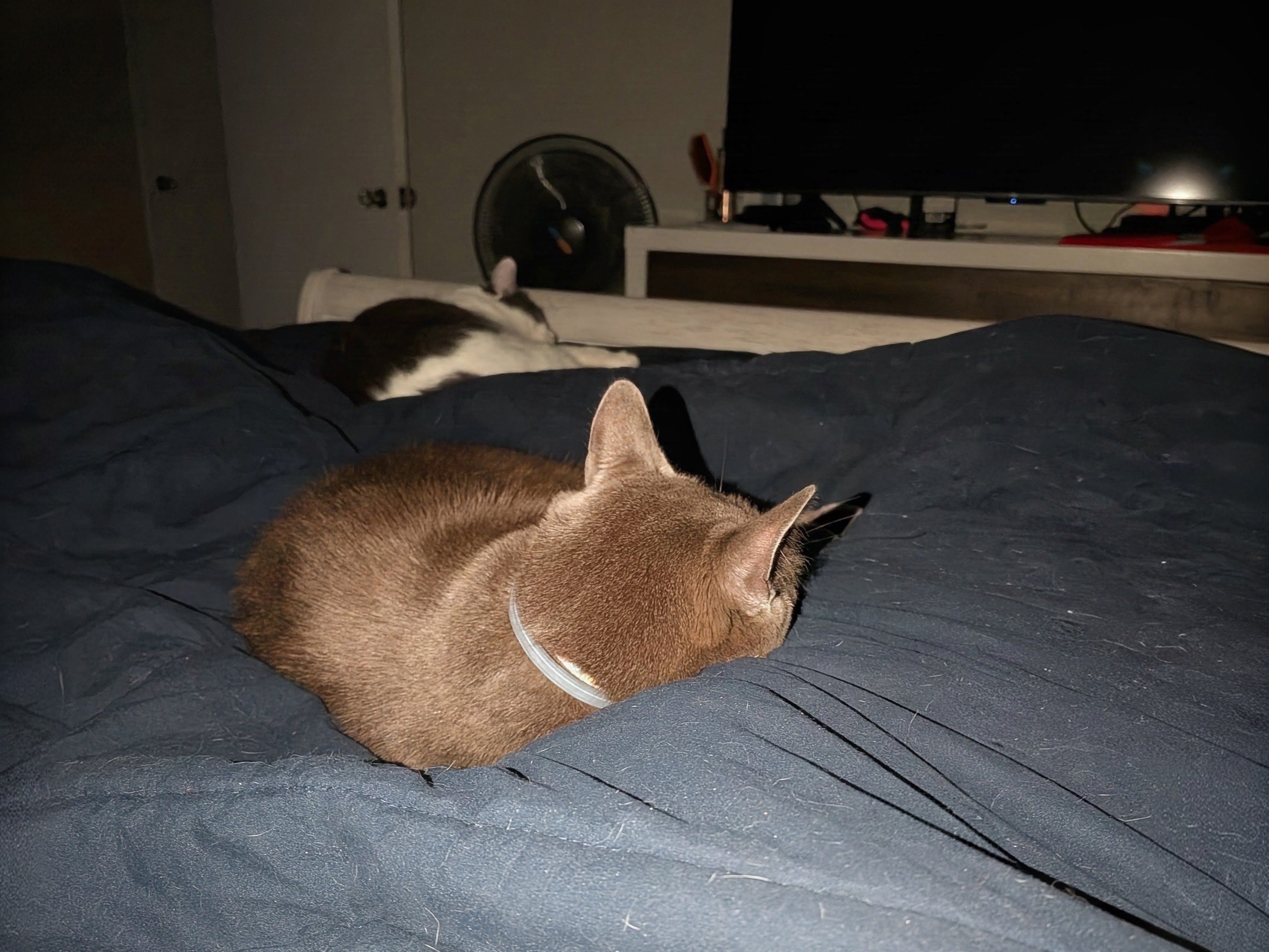 Last night, this was my view while I was getting ready to sleep
